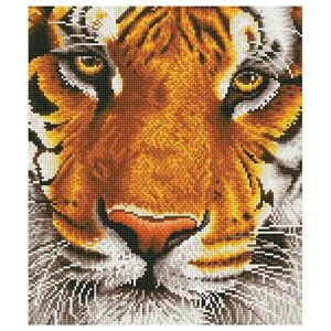Diamantový obraz - Bengálsky tiger 36 x 42