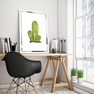 Obraz Kaktus na zrkadle Mirrora 68 - 60x40 cm (Obrazy Mirrora)