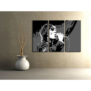 Ručne maľovaný POP Art obraz Ian Brown 3 dielny  ib2 (POP ART obrazy)