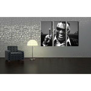 Ručne maľovaný POP Art obraz Ray Charles 3 dielny  rc (POP ART obrazy)