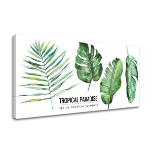 Obraz na stenu s textom Tropical paradise