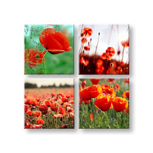 Obraz na stenu Meadow of poppy poppies 4 dielny XOBKOL17E42 (moderné obrazy na plátne )