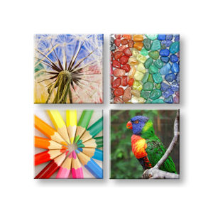 Obraz na stenu Colorful vibes 4 dielny XOBKOL20E42 (moderné obrazy na plátne )